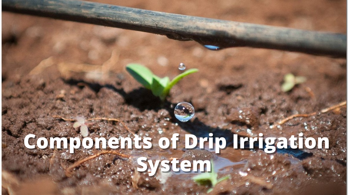 Components Of Drip Irrigation System