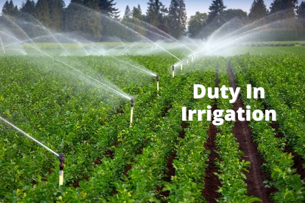 Duty In Irrigation